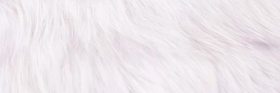 R banner