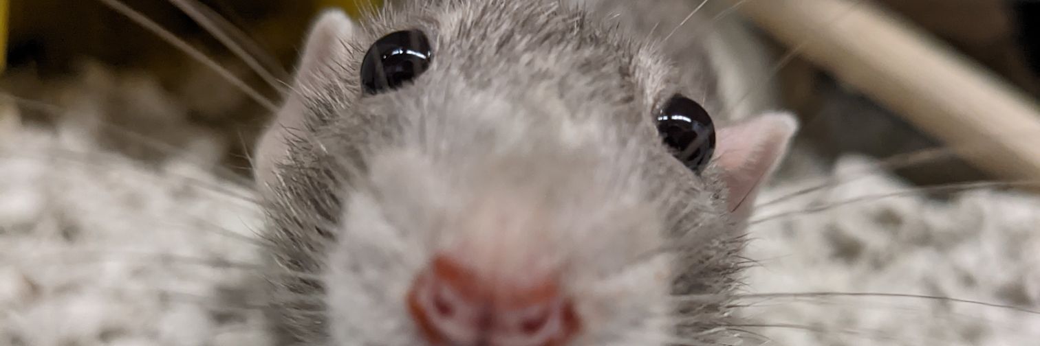miranda_tanner_'s profile banner image
