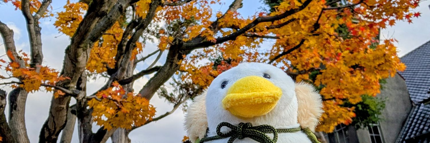 tonbi_modoki's profile banner image