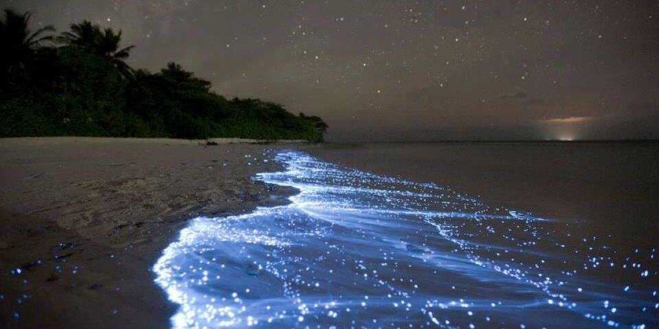 ॐ Dios en TI ॐ banner