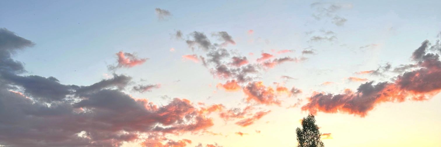Dogaseen's profile banner image