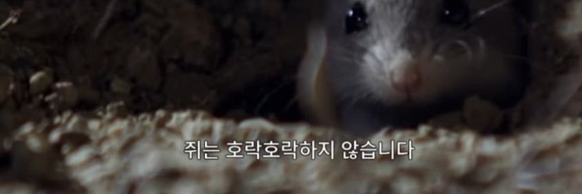 💚메는호락호락합니다🍈 banner