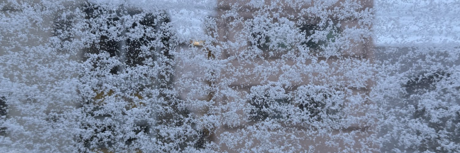 高砂みきこ🇯🇵mikikotakasago banner