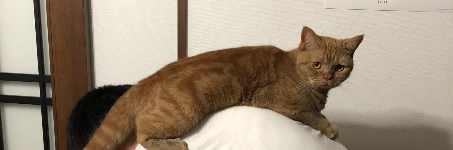 濱田巧 takumi hamada banner