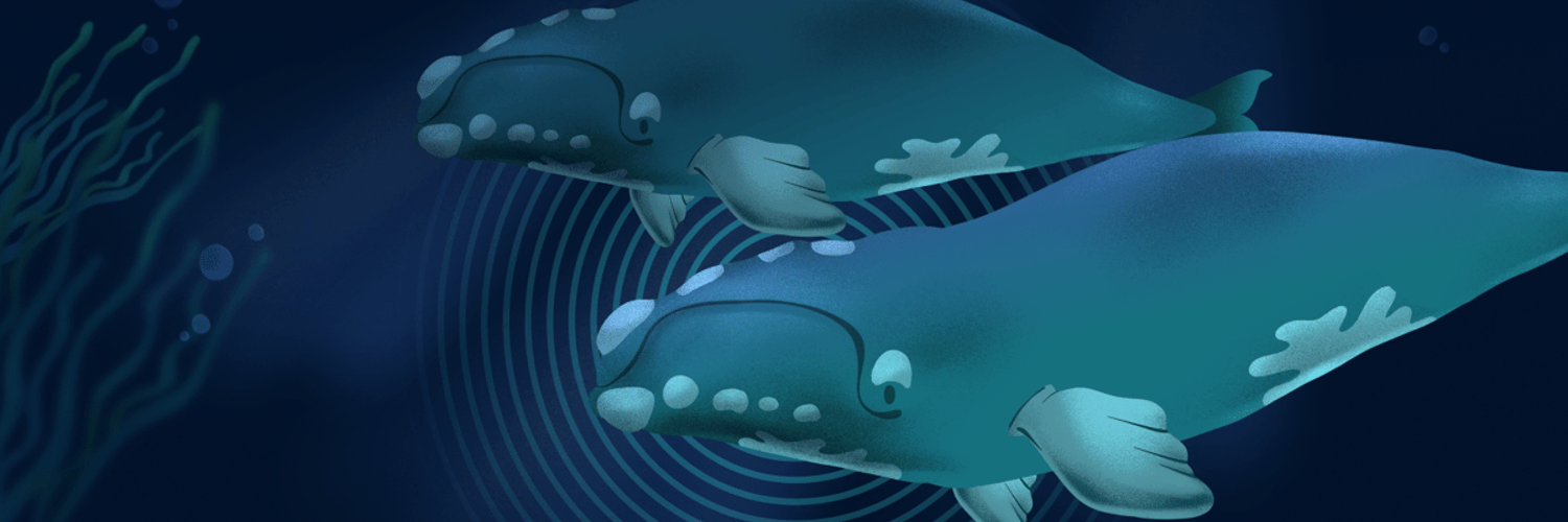 WWF-Canada en français banner