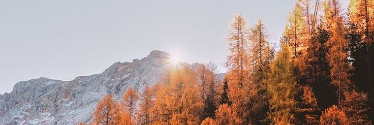 karasuxi's profile banner image