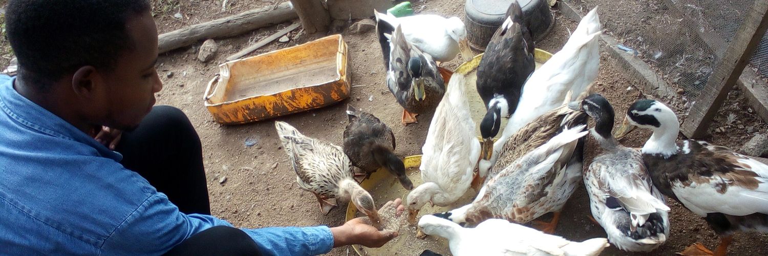 Tunmise Faith Ehigbor banner