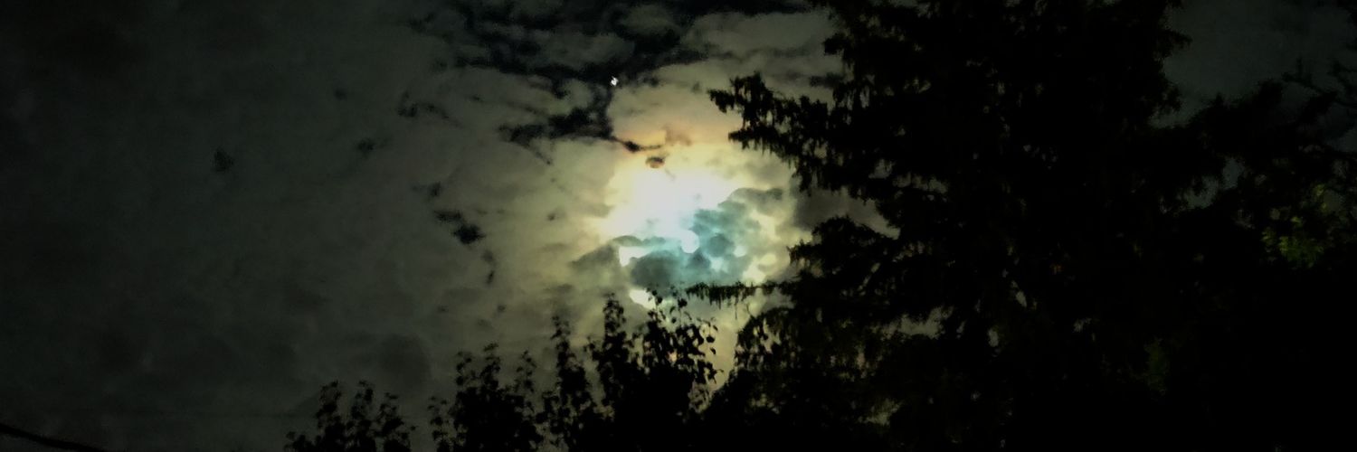 mullins_brad's profile banner image