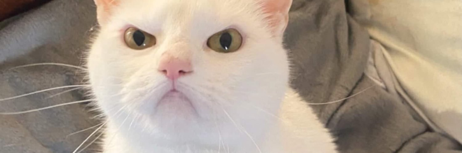 hawasahl's profile banner image