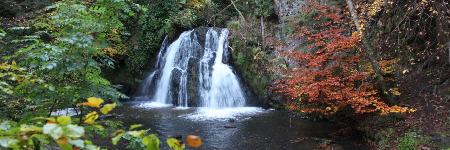Cédric Close banner
