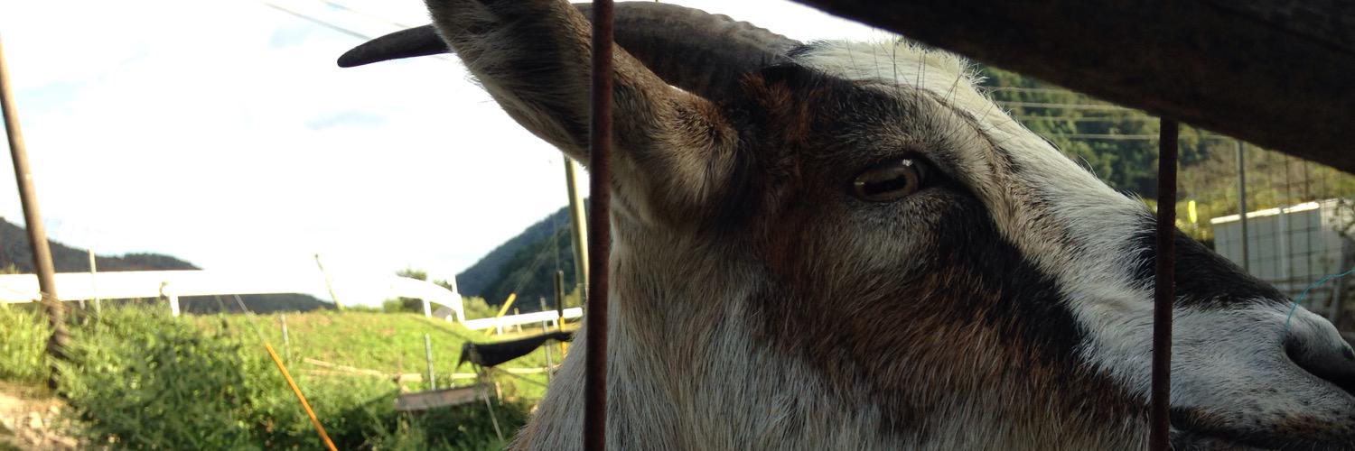 Masaya Kishimoto / 岸本昌也 banner