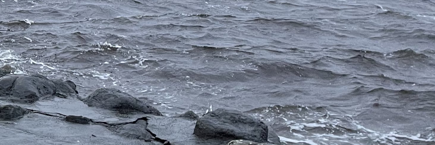 ReinisRubenis's profile banner image