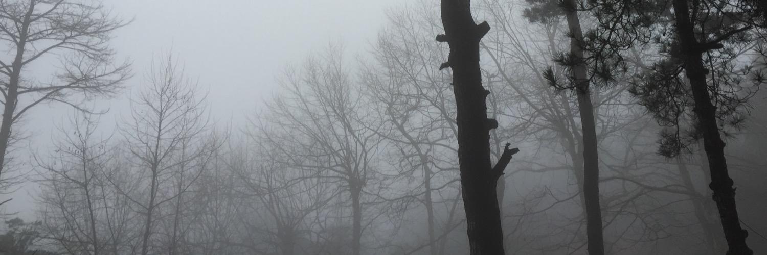 devilstephen's profile banner image