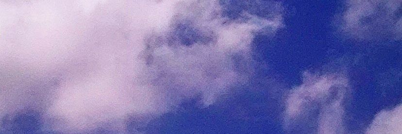 PNWPAPI banner