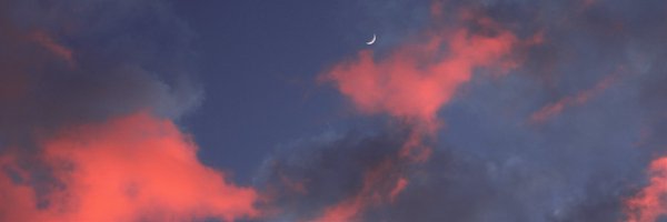 MattiaMattei1 Profile Banner