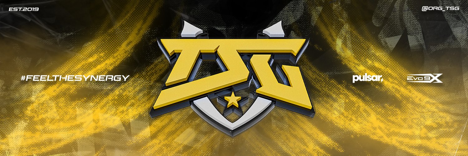 True Synergy Gaming's banner