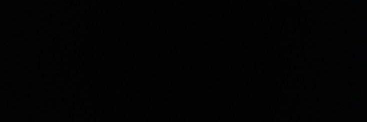 rochi's banner