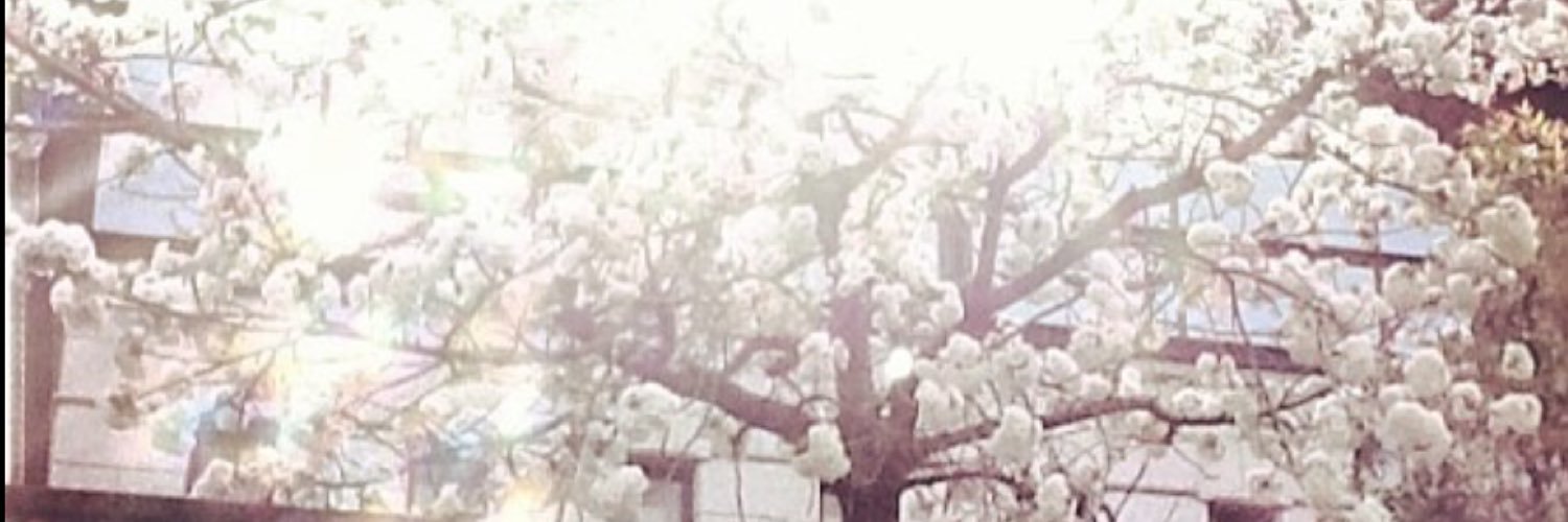 dxdⓂ︎aℹ︎©︎o banner