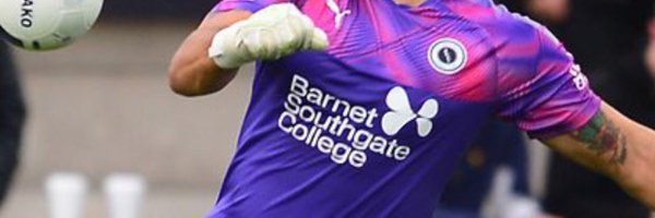 @Goalkeepersofnonleague Profile Banner