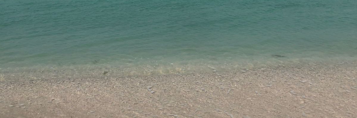 GretaCastro's profile banner image