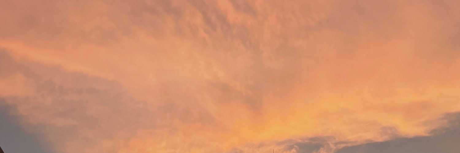 FridayGemini's profile banner image