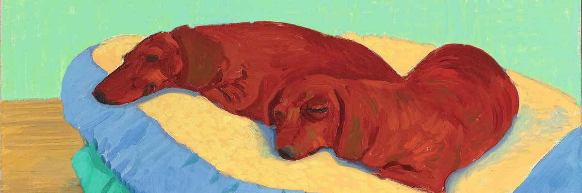 setthings's profile banner image
