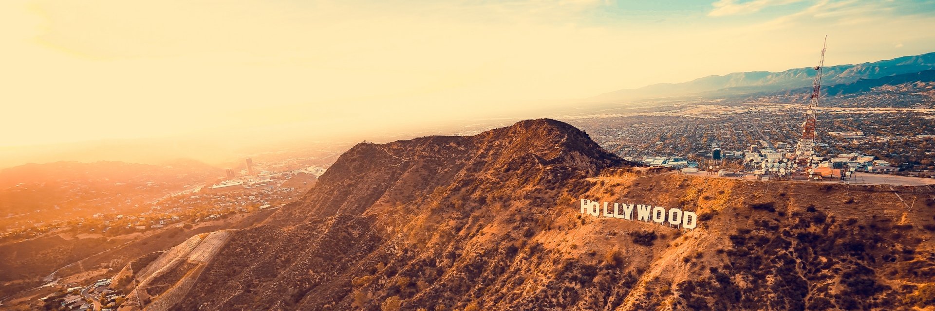 criptocine's profile banner image