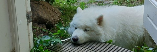 DengzoeCSGO Profile Banner