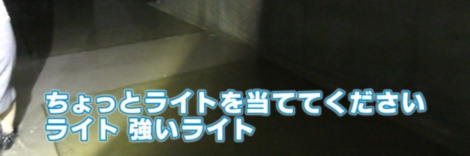 ram_pu's profile banner image
