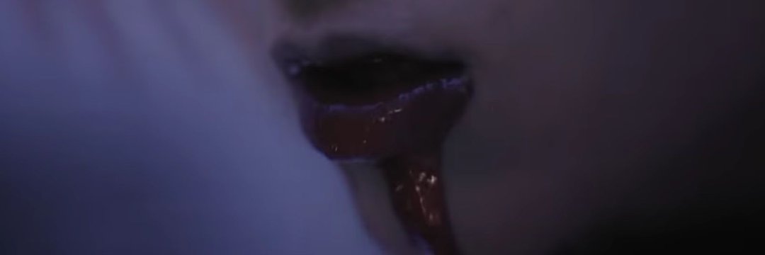 thisgivelife's profile banner image