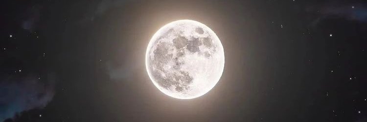 LariMunic's profile banner image
