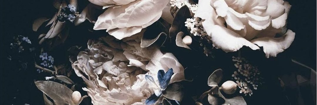 🌸🌸ᗪ𝒖𝒍𝒄𝒆𝑴𝒐𝒐𝒏🌸🌸 banner