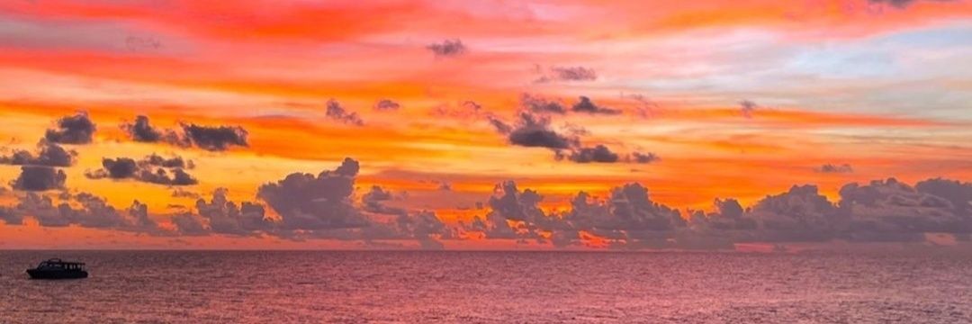 Sriyansh Mohanty banner