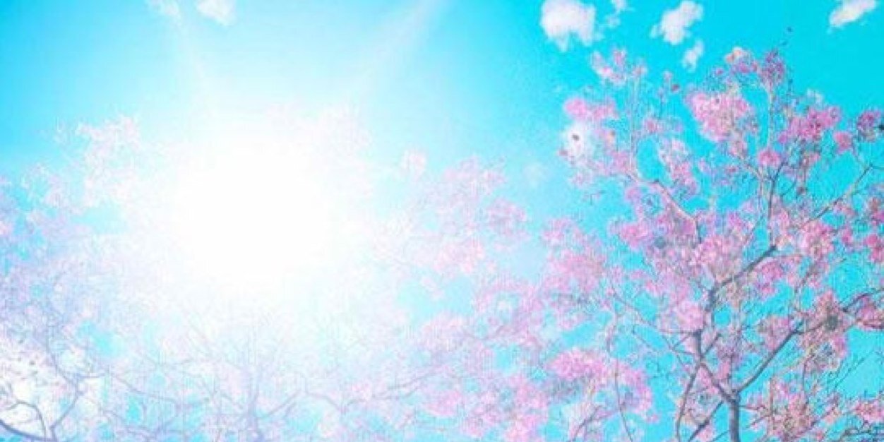 pamelabrun's profile banner image