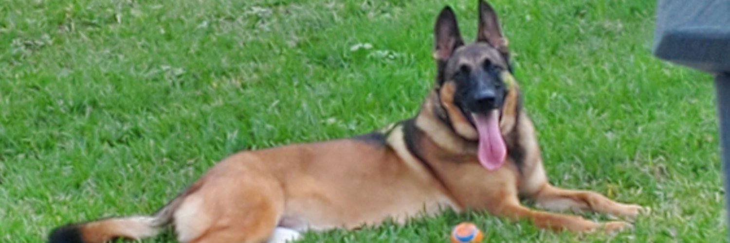 ddpeddy's profile banner image