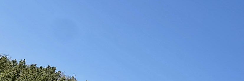 / banner