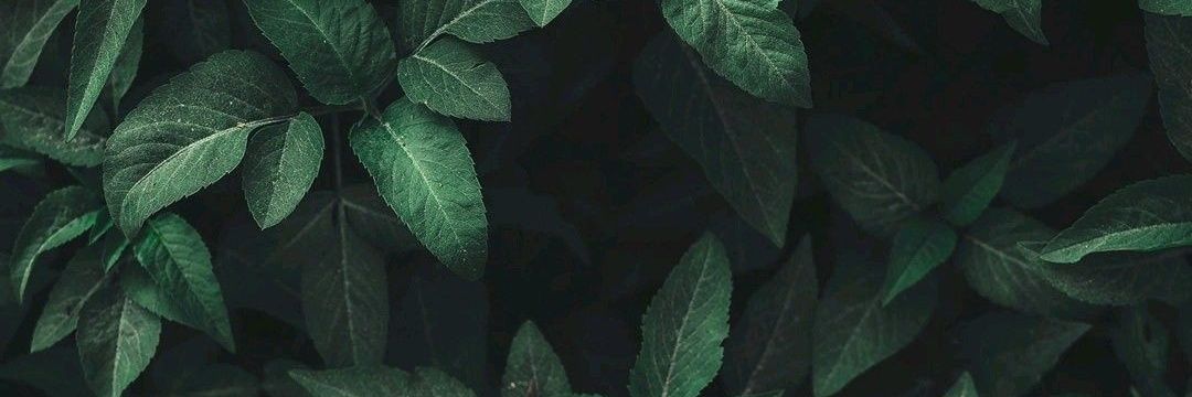 _vzzhdz's profile banner image