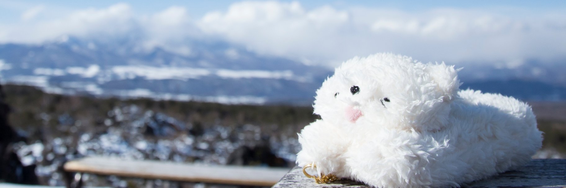 _mitty3's profile banner image