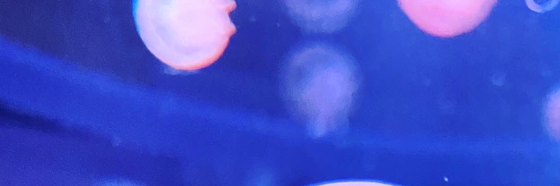 Nekomunin's profile banner image