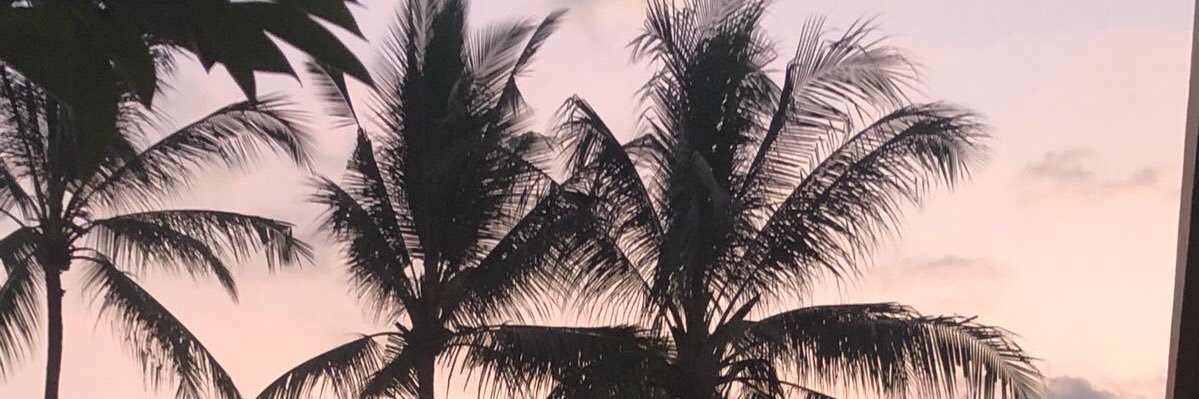 SyriaConflictMonitor banner