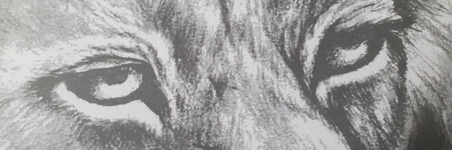 Sentinel49's profile banner image