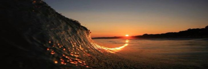 Maria Gabriela Vera banner