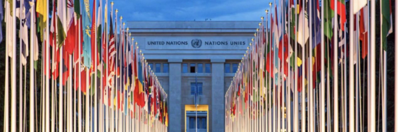 South African Permanent Mission-UN Office, Geneva's banner