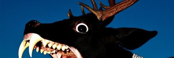 Boglover69 Profile Banner