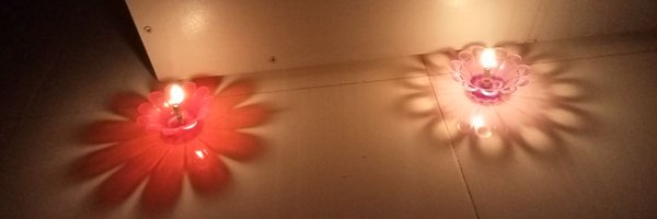 AVANI31252032 Profile Banner