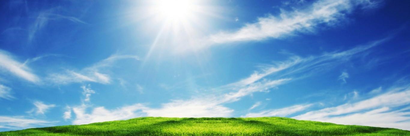 Vitamin D Society banner