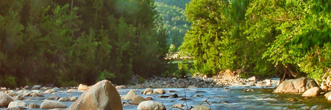 Troyano277 banner