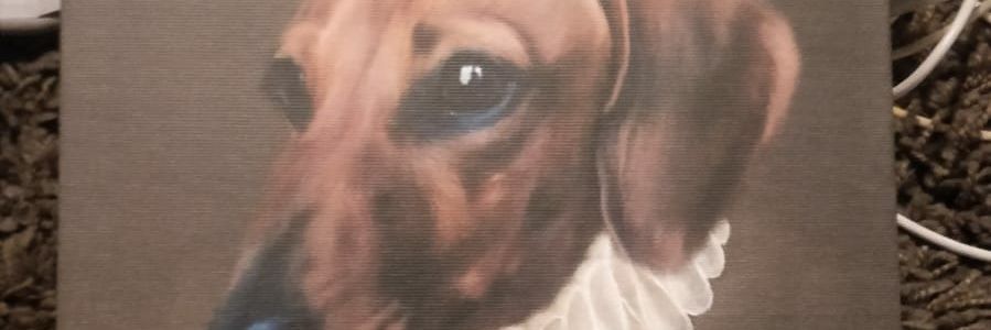 Uberannala's profile banner image