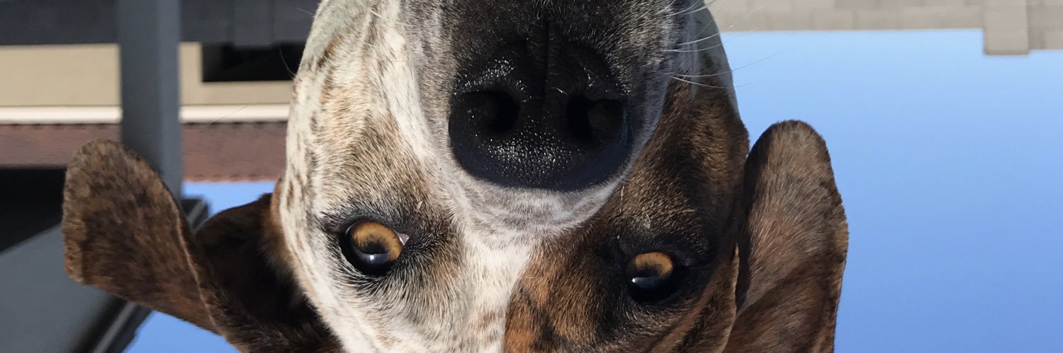 ItsChefBoat's profile banner image