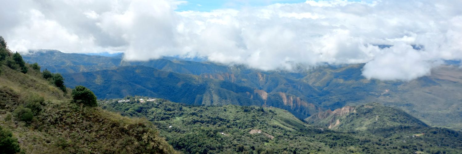 karolinechavez's profile banner image